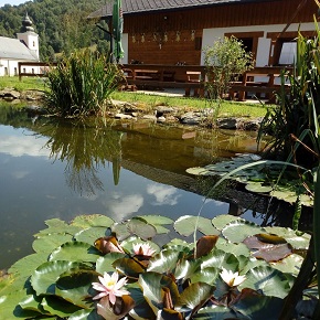 penzion U Bořka, Jeseníky